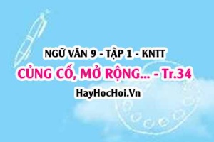 Soạn bài Củng cố, mở rộng trang 34 Ngữ văn lớp 9 tập 1 Kết nối tri thức